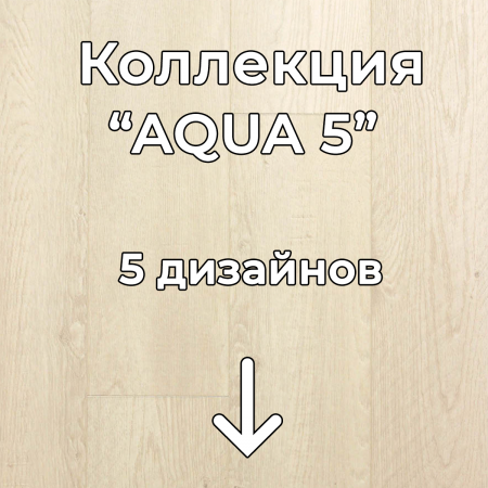 Без имени-2