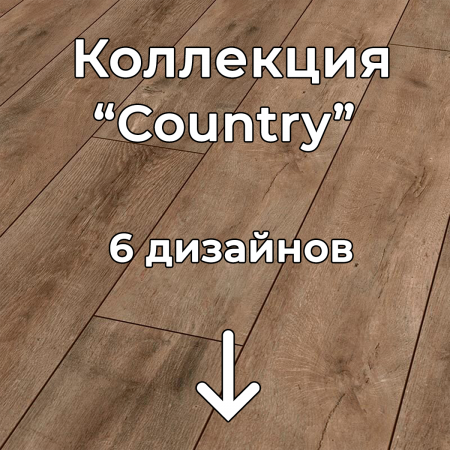 Без имени-2
