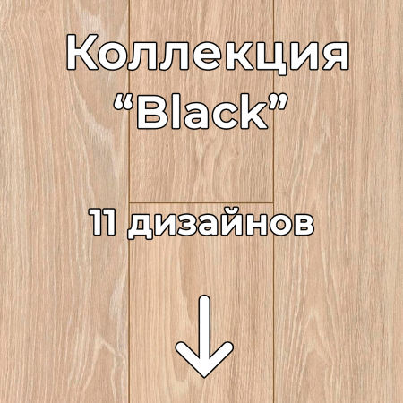 Без имени-2