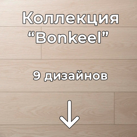 Без имени-2