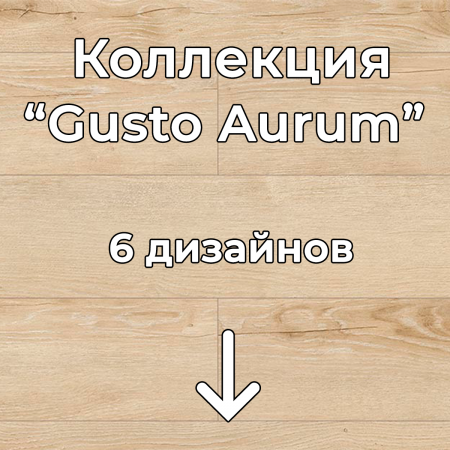 Без имени-2
