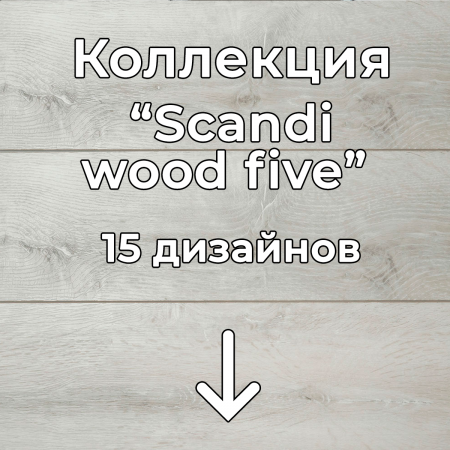 Без имени-2