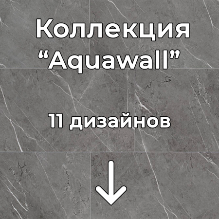 Без имени-2