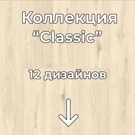 Без имени-2