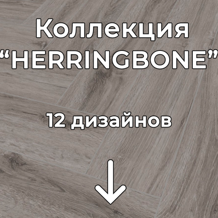 Без имени-2