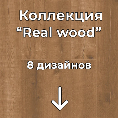 Без имени-2
