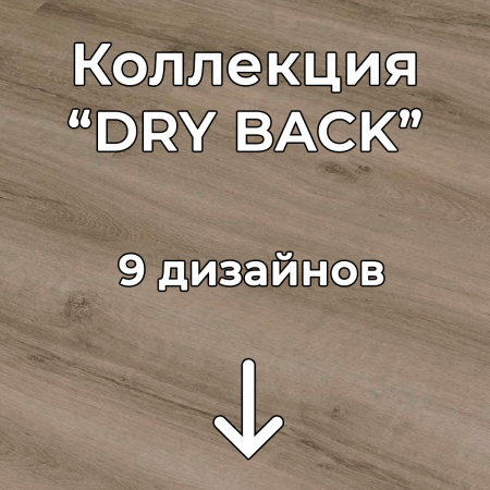 Без имени-2