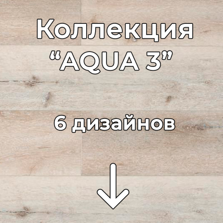 Без имени-2
