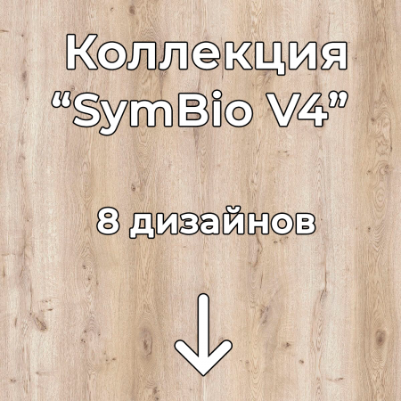 Без имени-2