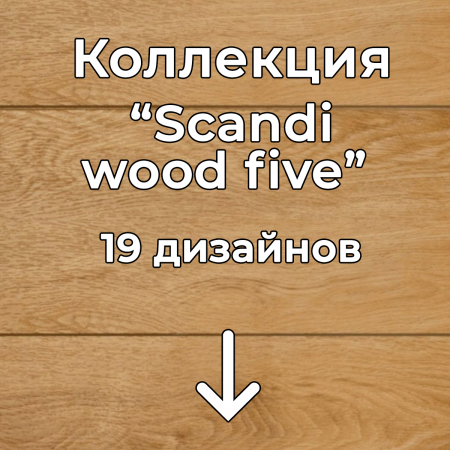 Без имени-2