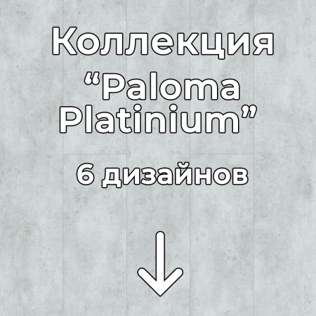 Без имени-2