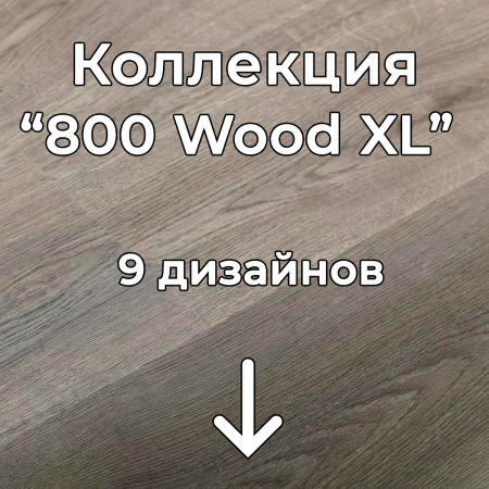 Без имени-2
