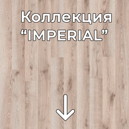 Без имени-2