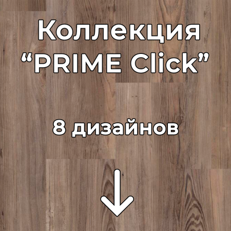 Без имени-2