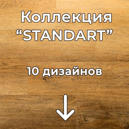 Без имени-2