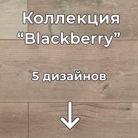 Без имени-2