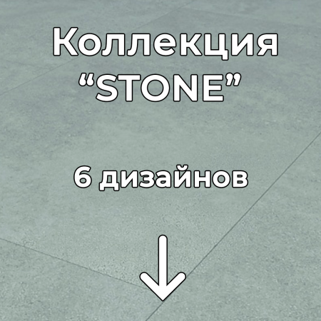 Без имени-2