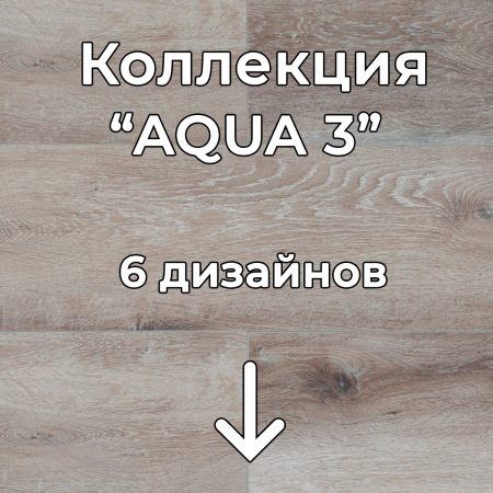 Без имени-2