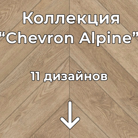 Без имени-2