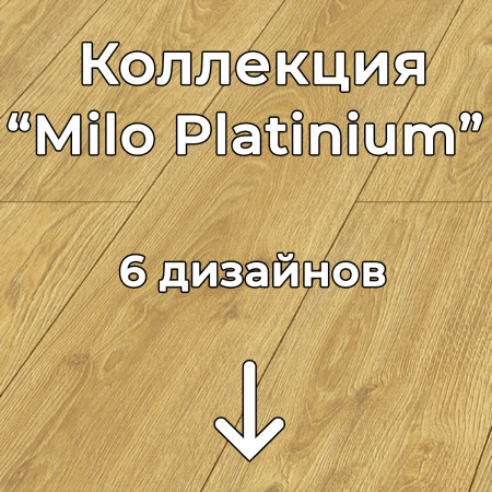 Без имени-2