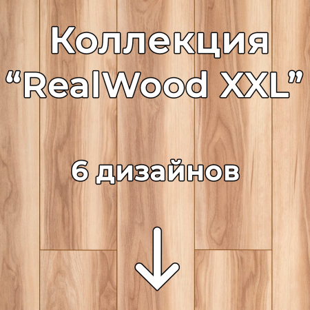 Без имени-2