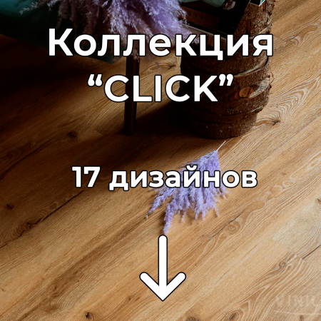 Без имени-2
