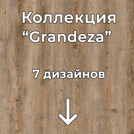 Без имени-2