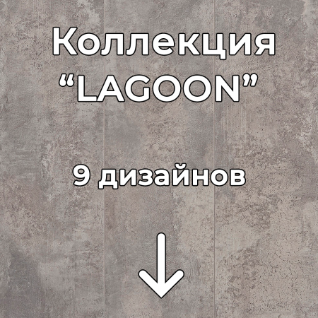 Без имени-2