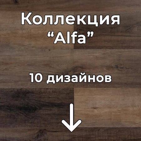 Без имени-2