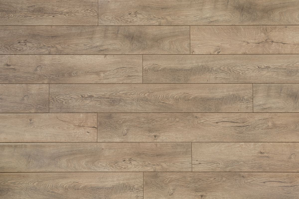 35923f3e3583d8043f48540a6e0159c3