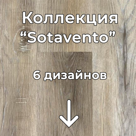 Без имени-2