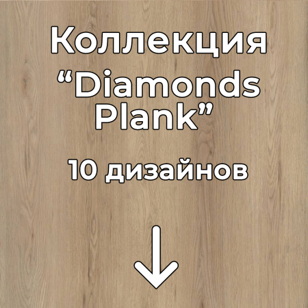 Без имени-2