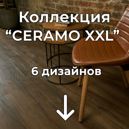 Без имени-2