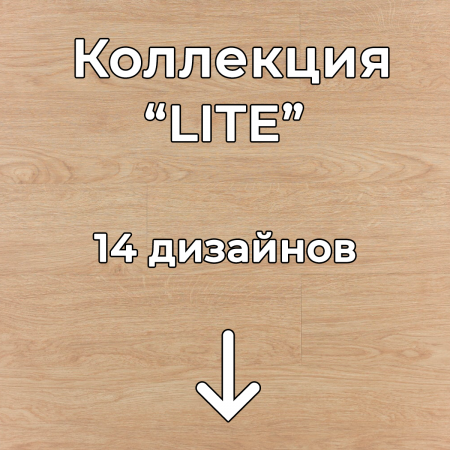 Без имени-2
