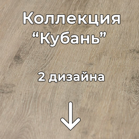 Без имени-2