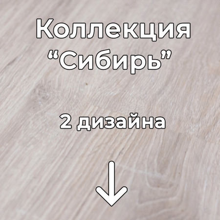 Без имени-2