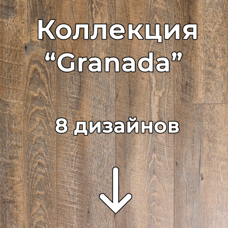 Без имени-2