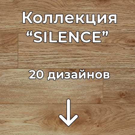 Без имени-2