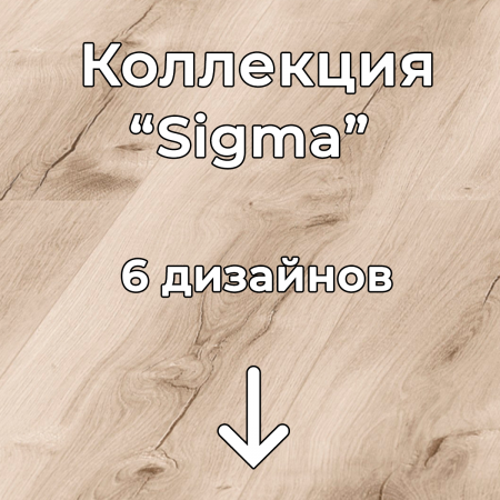 Без имени-2