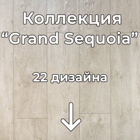 Без имени-2
