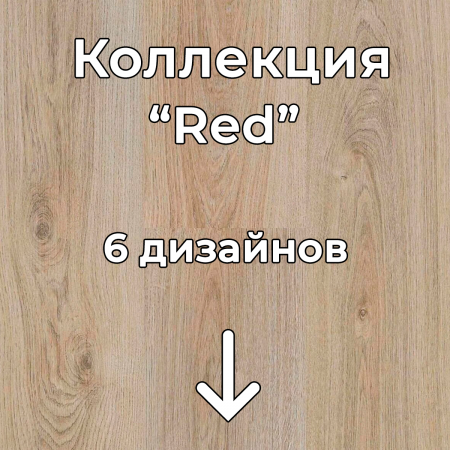 Без имени-2
