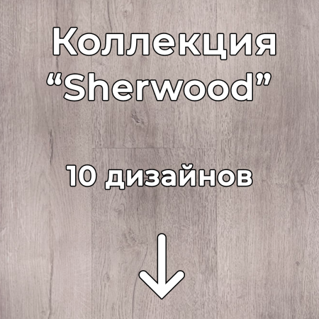 Без имени-2