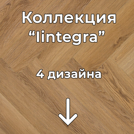 Без имени-2