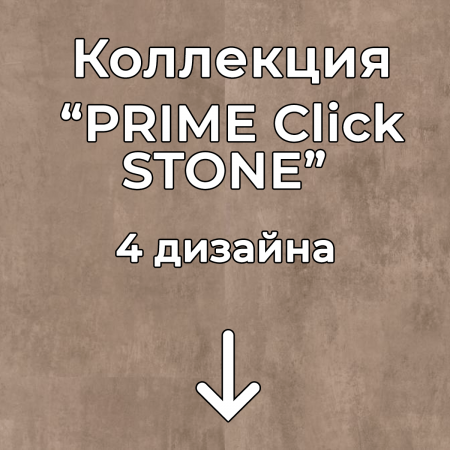 Без имени-2