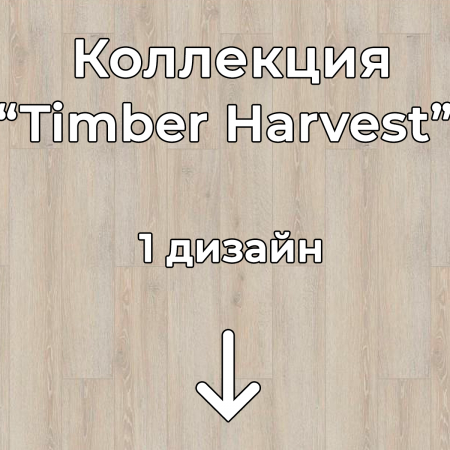 Без имени-2