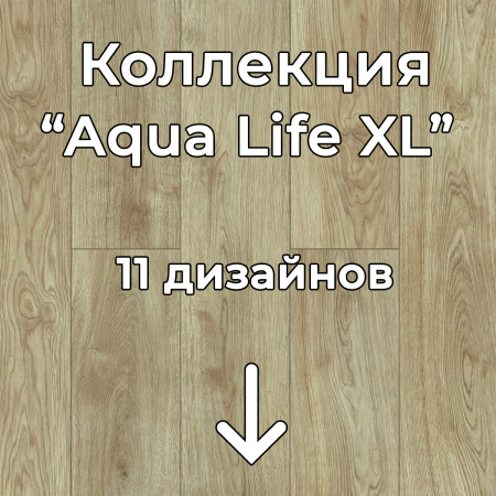 Без имени-2