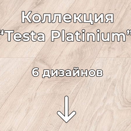 Без имени-2