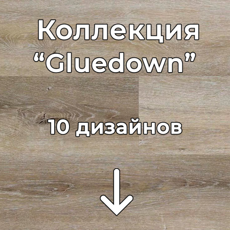 Без имени-2
