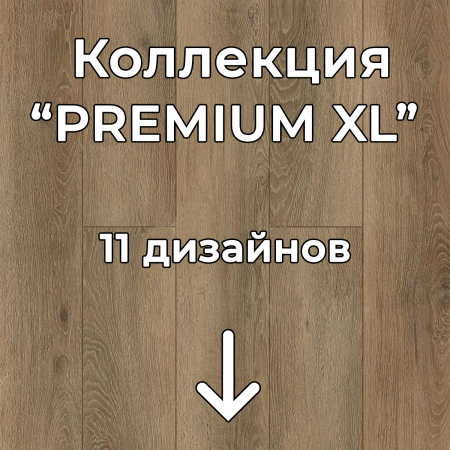 Без имени-2