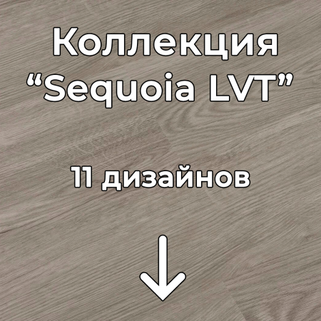 Без имени-2